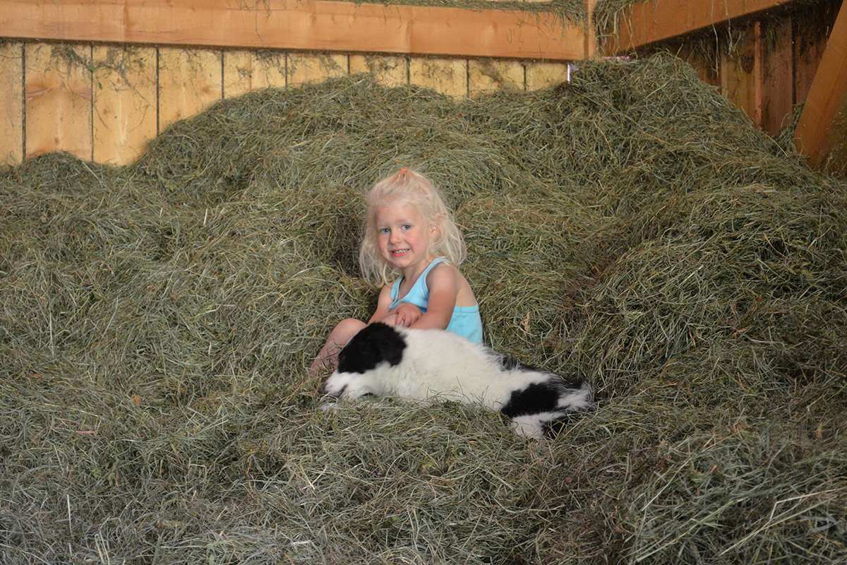Child in the hay