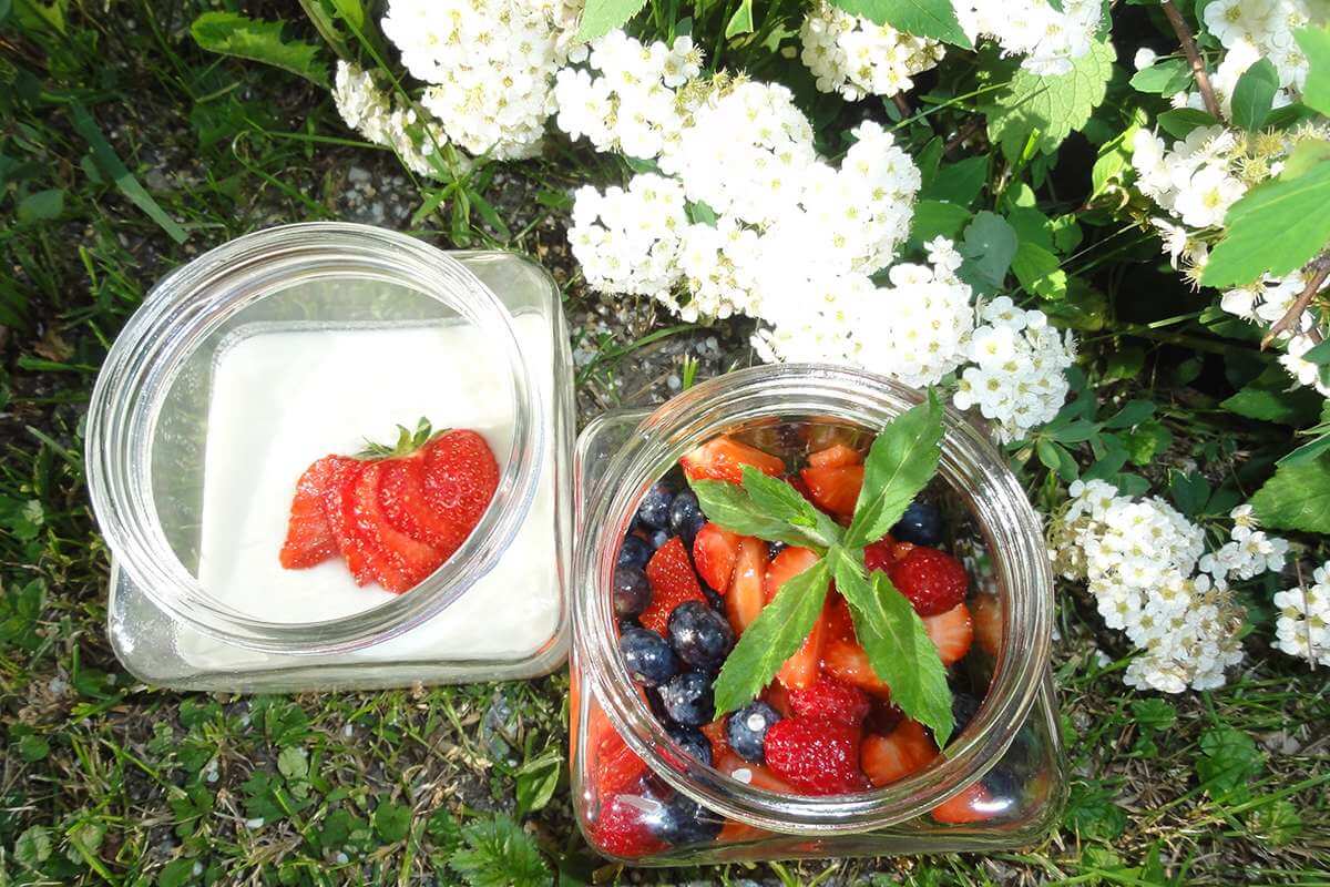Yoghurt with fruit